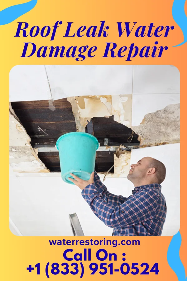 Roof Leak Water Damage Repair in Randolph, NE